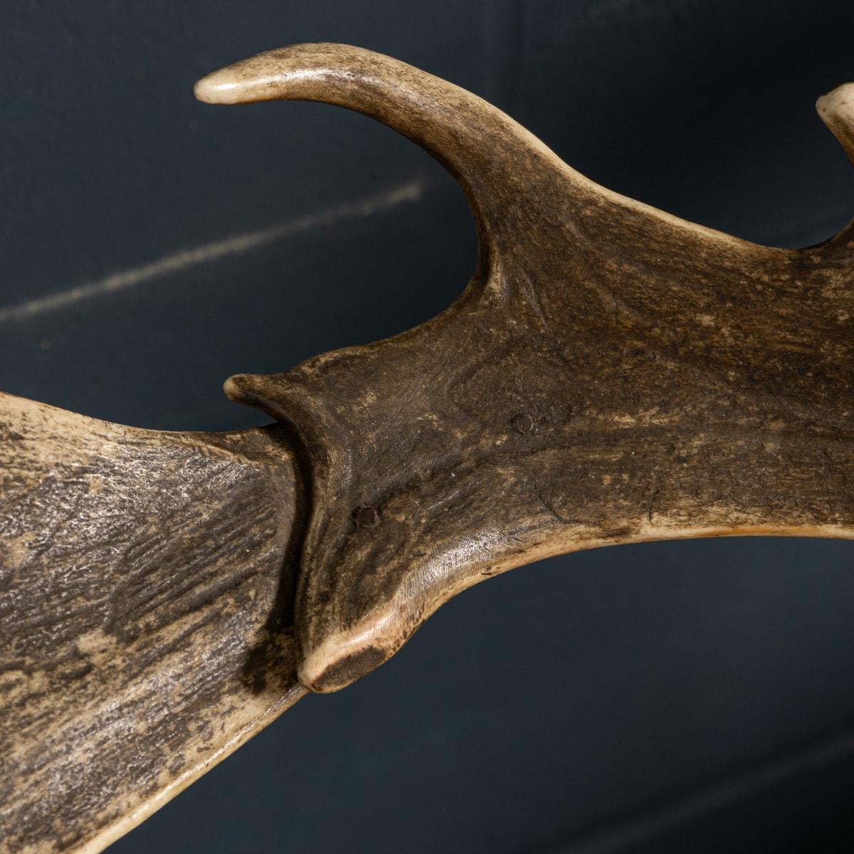 19th Century Pair Of Black Forest Antler Horn Hall Chairs, Swiss/German, c.1890 7