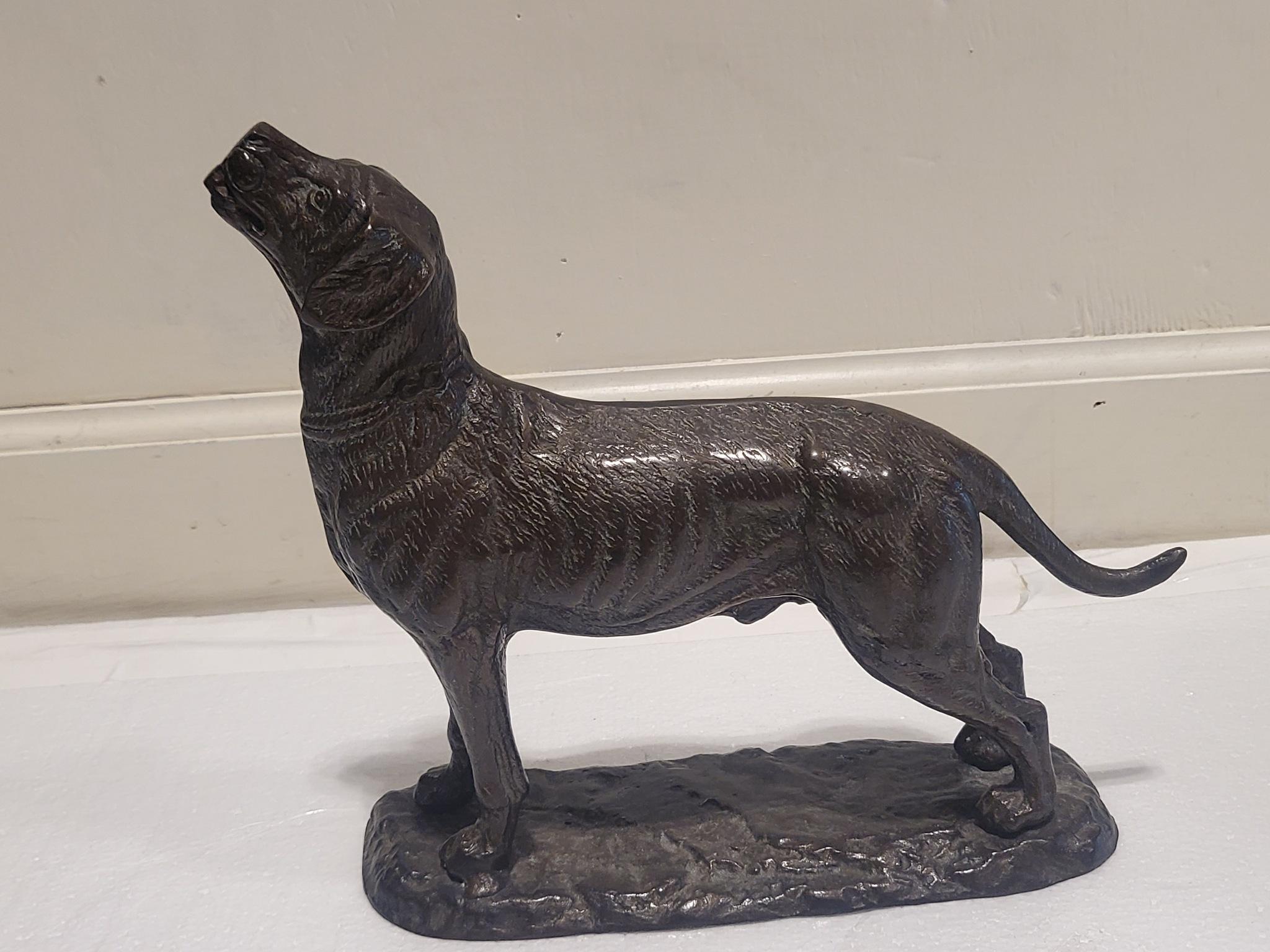 19th century Pair of Bronze Dogs In Excellent Condition In Dallas, TX