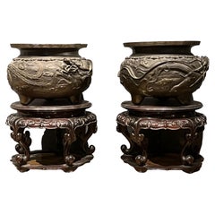 19th Century Pair of Bronze Vases from Japan
