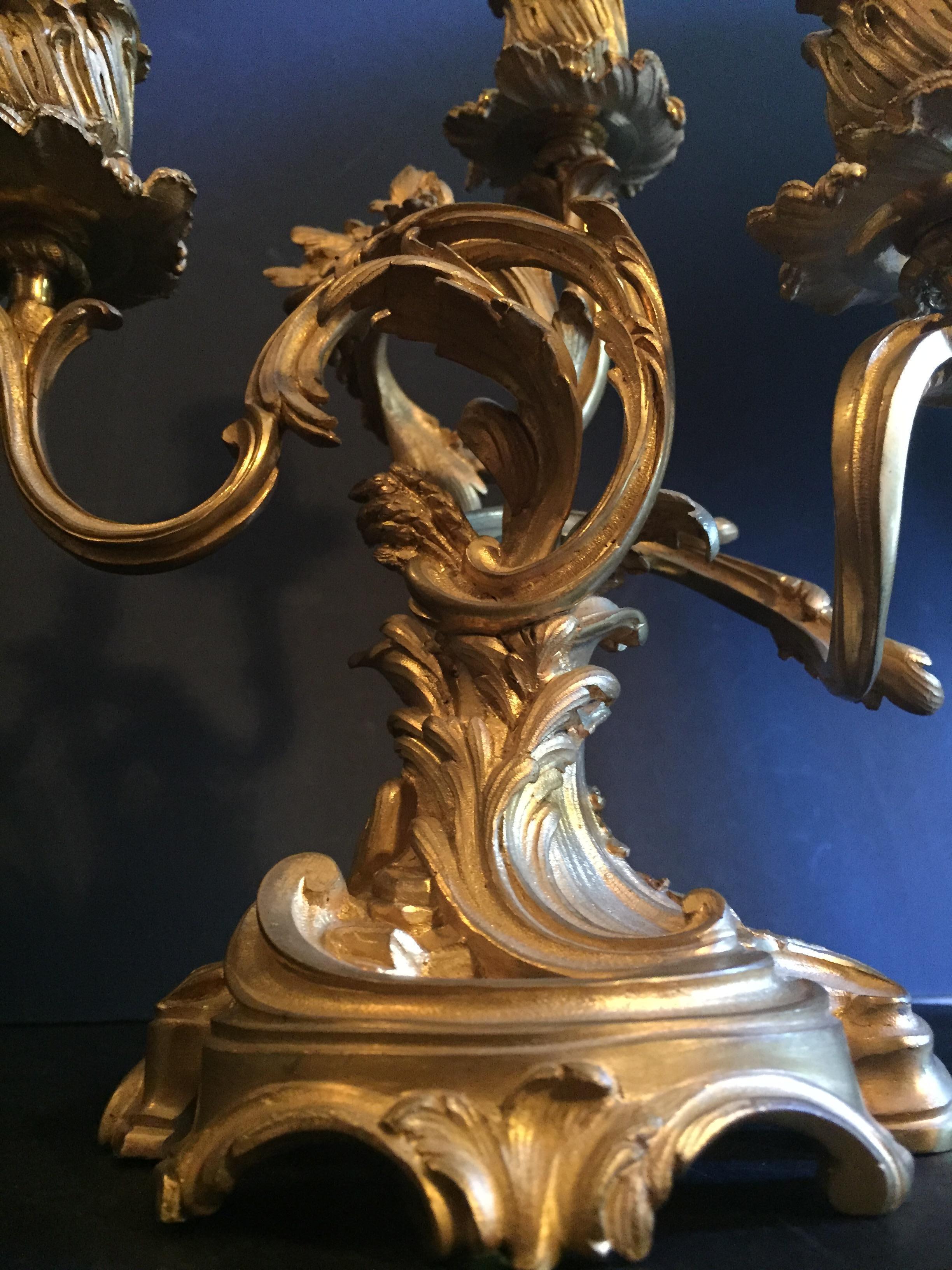 Louis XV Style Pair of Candelabra, Ormolu, France. For Sale 2