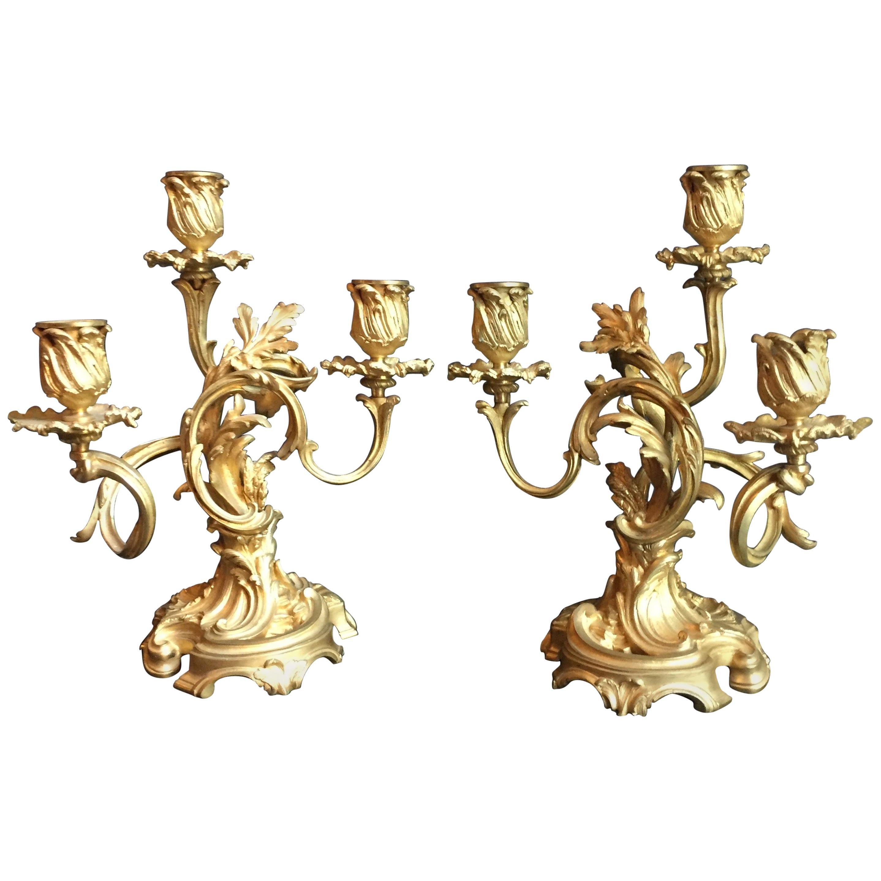 Paar Kandelaber im Louis-XV-Stil, Goldbronze, Frankreich. im Angebot