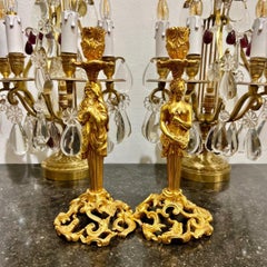 19th Century Pair of Candlesticks in Gilt Bronze