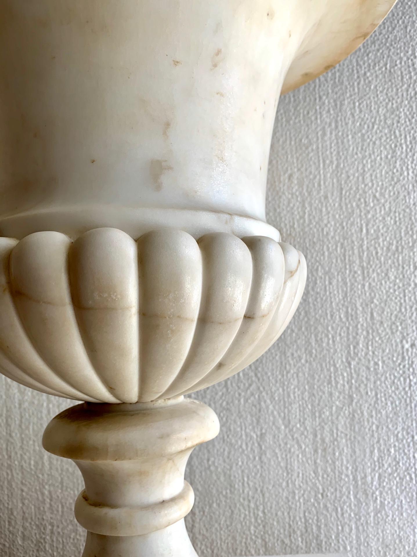Italian  Pair of Carrara Marble Medici Vases or Urns