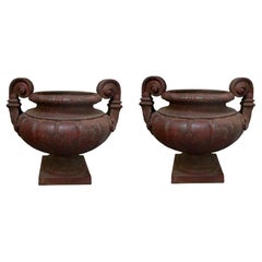 19th Century Pair of Cast Iron Medici Urns Cast by Durenne-Founder in AIX