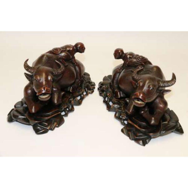 A fine pair of Chinese carved hardwood water buffalos on stands.

This pair of late 19th century Chinese hardwood figures are superbly carved with amazing detail. They depict two water buffalo who are lying down and humorously each one has a boy