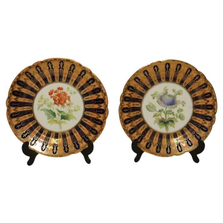 Paire d'assiettes de cabinet de Coalport du 19ème siècle attribuées à Thomas Dickson en vente