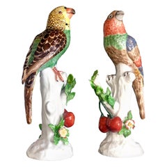 19th Century Pair of Colourful Parrots Standing on Tree Stumps with Cherries