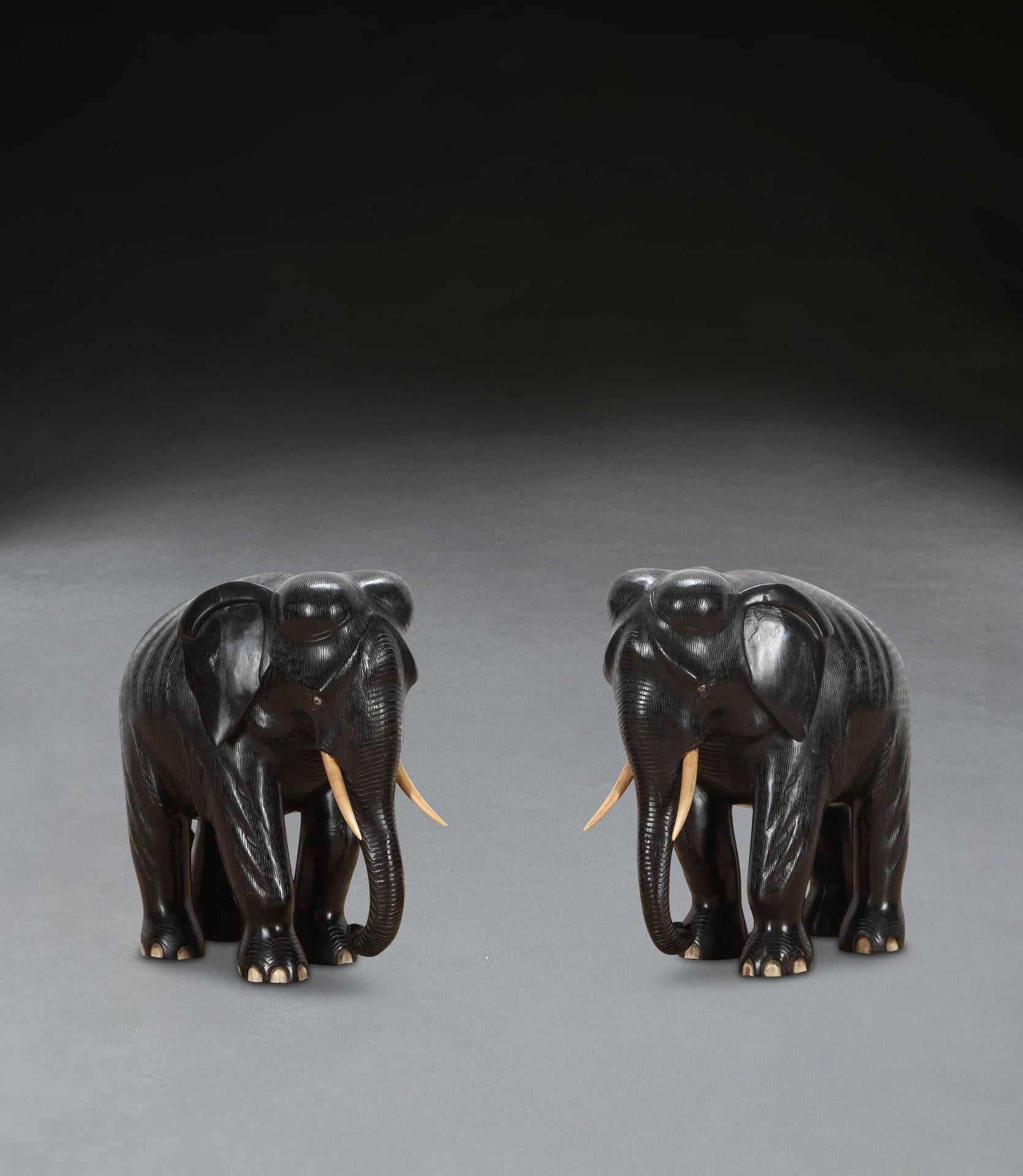Charmante paire d'éléphants sculptés en ébène massif, modelés dans une position de marche, également plus inhabituels grâce à la surface texturée qui leur confère un meilleur effet. En bon état, sans cassure, surface joliment patinée et conservant