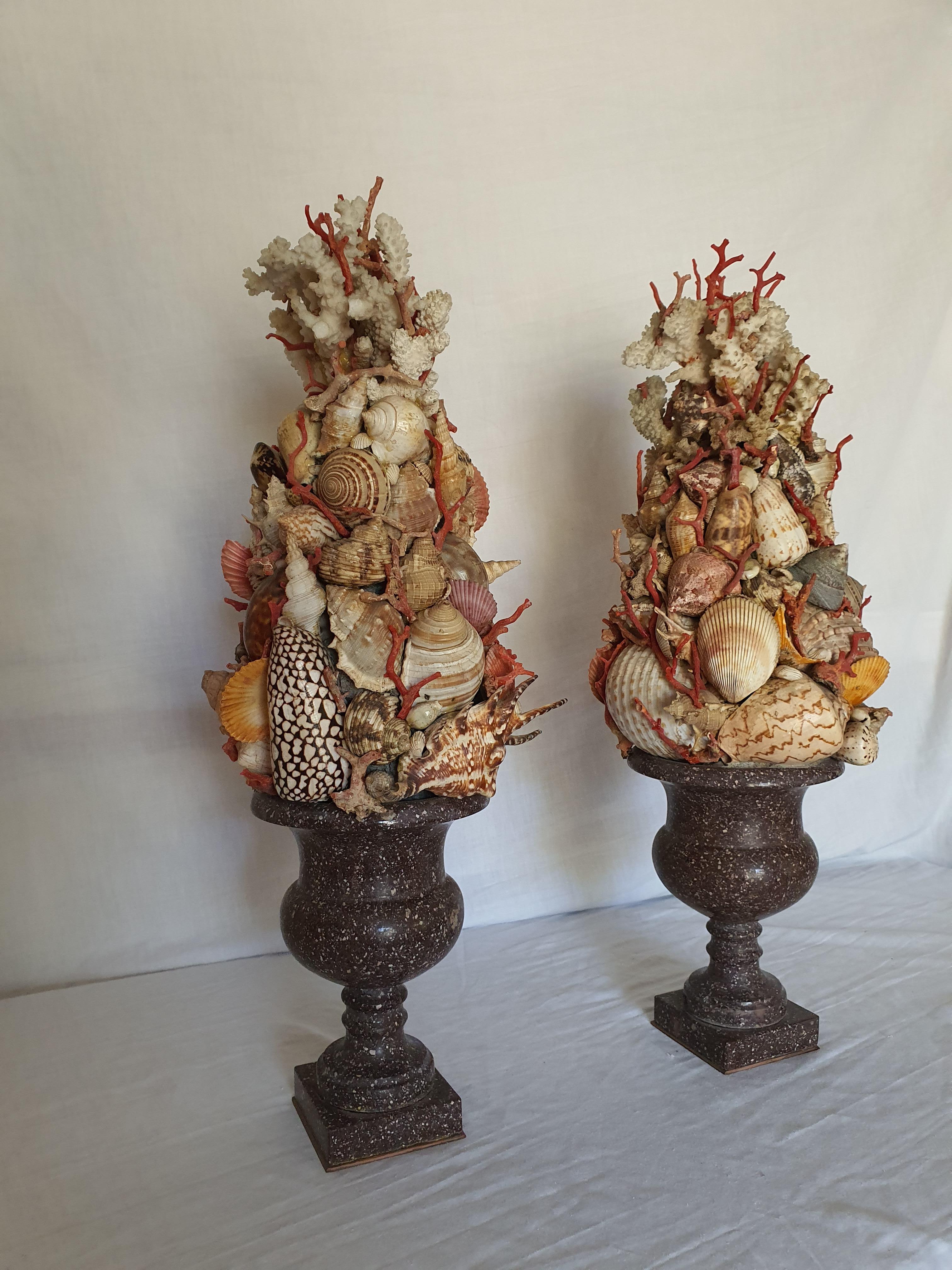 19th Century Pair of Egyptian Porphyry Vases with Shells and Coral from Trapani 1