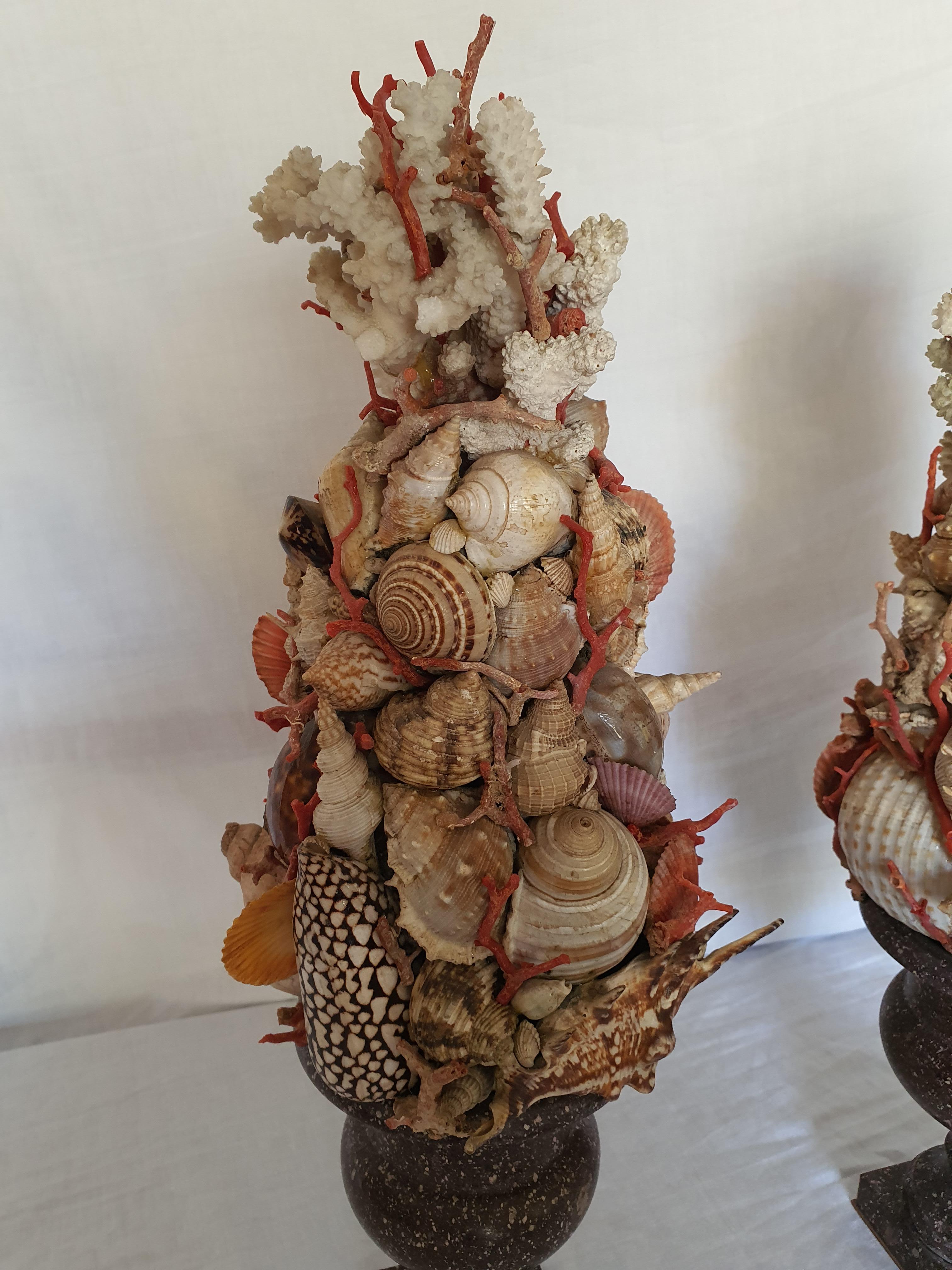 19th Century Pair of Egyptian Porphyry Vases with Shells and Coral from Trapani 3