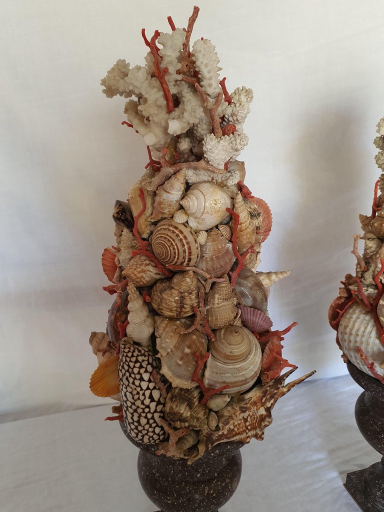 19th Century Pair of Egyptian Porphyry Vases with Shells and Coral from Trapani For Sale 3