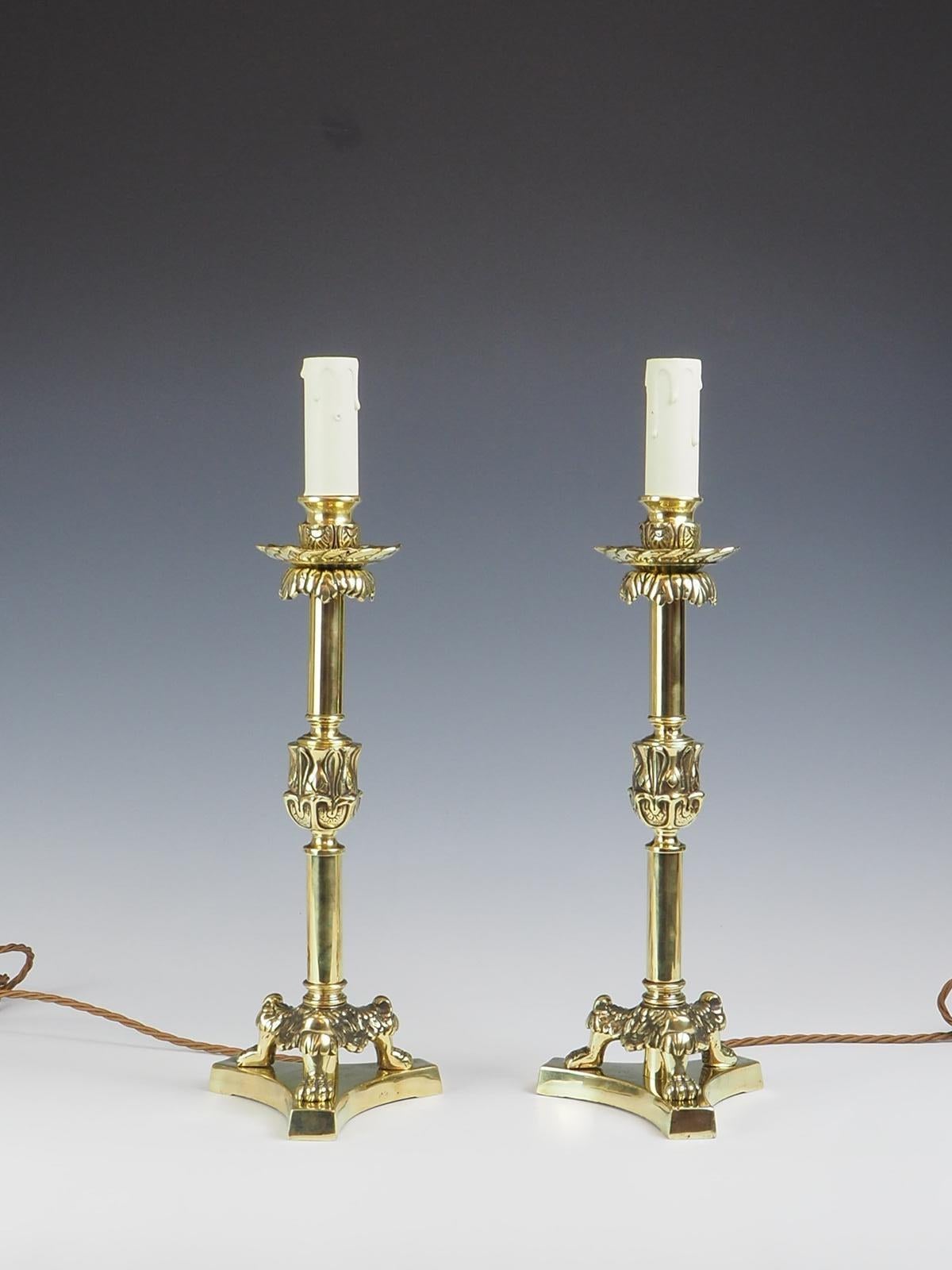 19. Jahrhundert Paar elegante Kerzenleuchter aus Messing auf dreifach geformten Löwenkrallenfüßen im Angebot 1