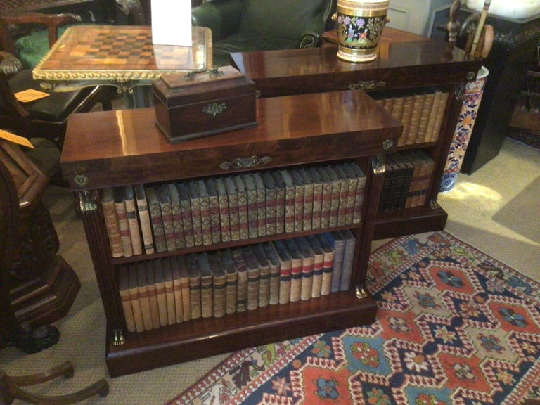 19th Century Pair of Floor Mounted Bookcases in the Egyptian Revival
