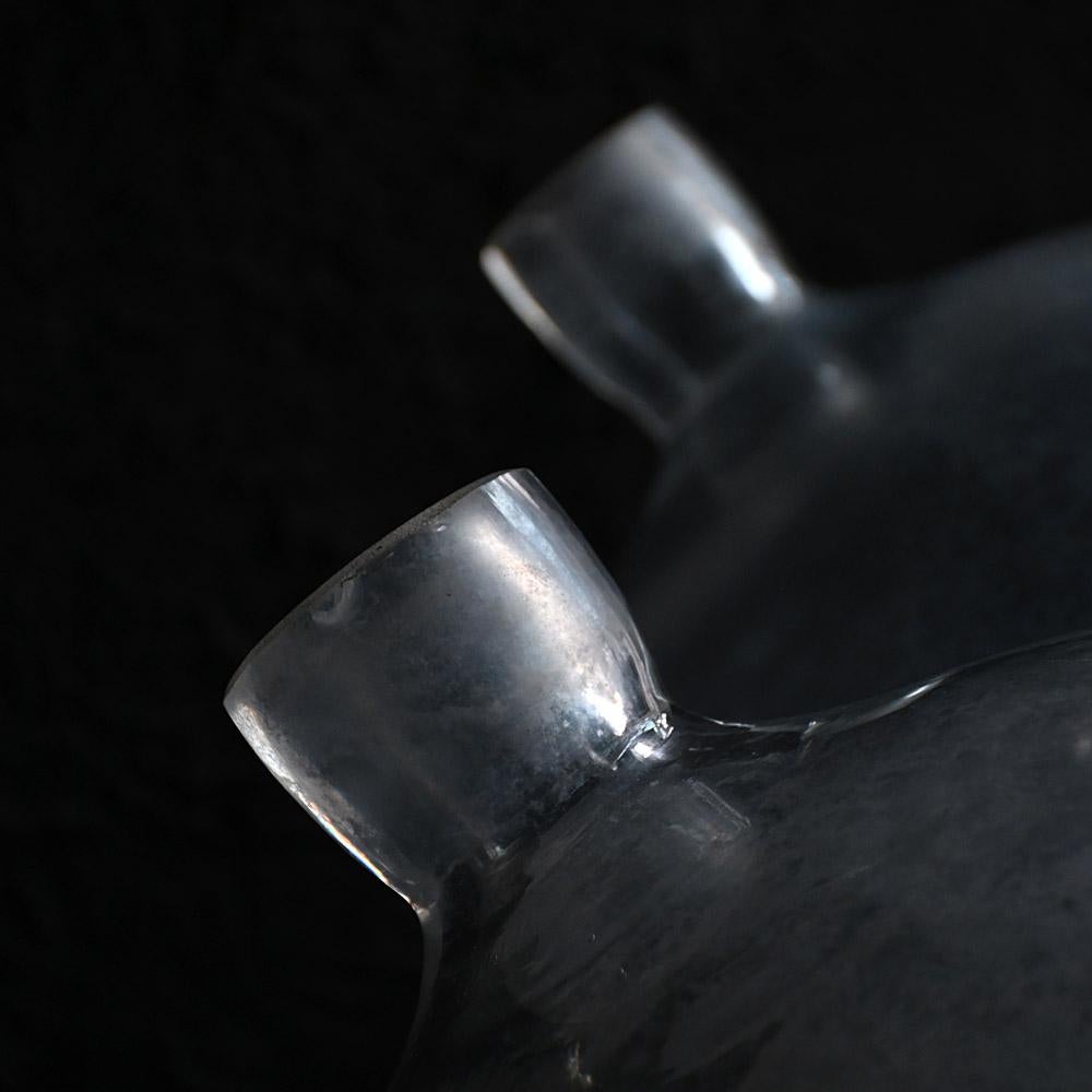 19th century pair of French Carboys In Good Condition For Sale In London, GB