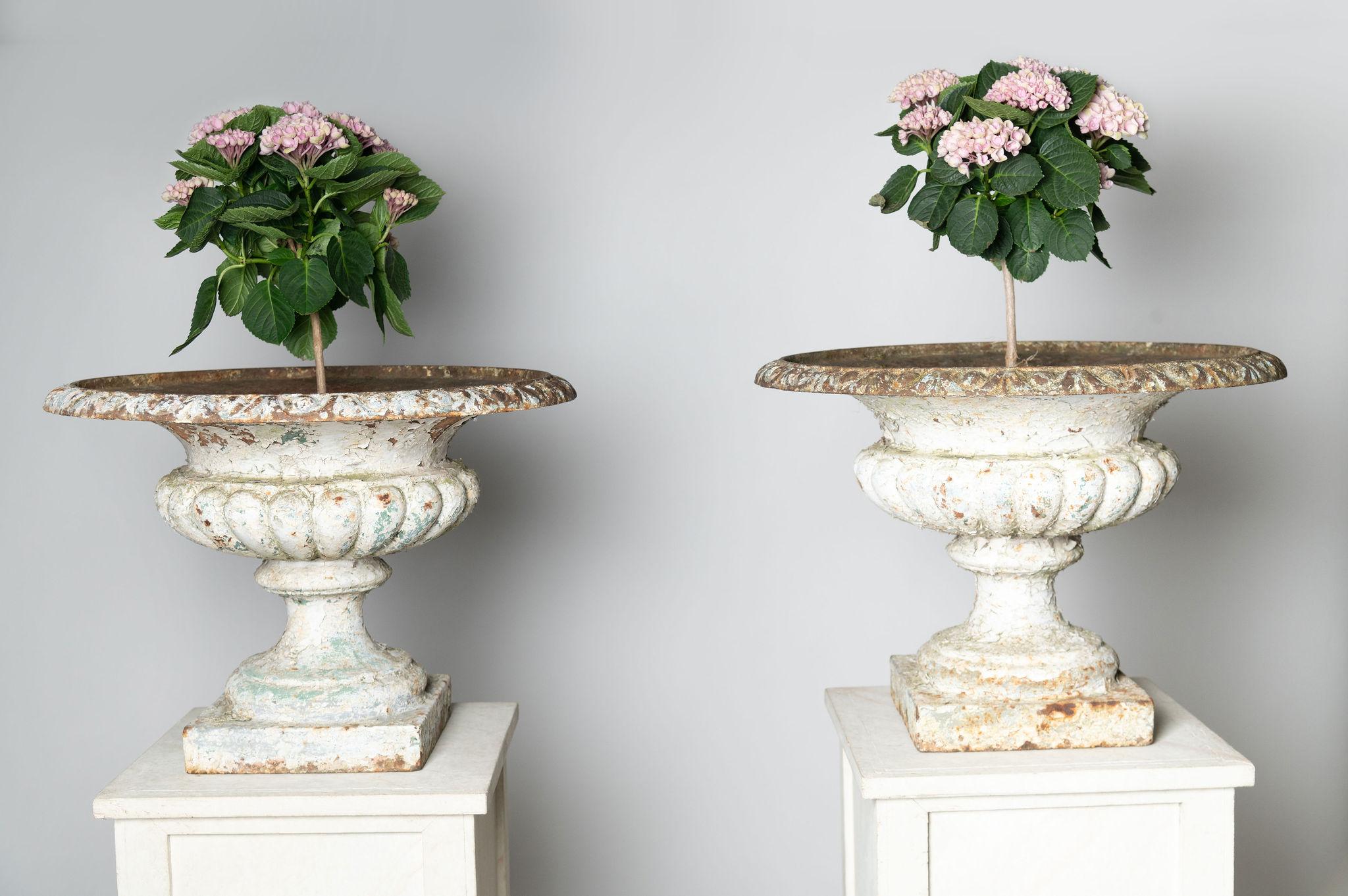 Large pair of antique French 19th Century cast iron urns, wonderful layers of the original crusty paint. No damage. 
