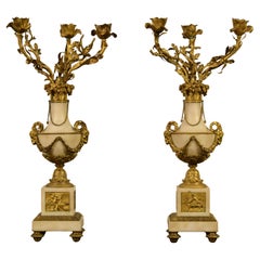 19th Century, Pair of French Gilt Bronze and Marble Candelabra
