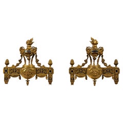 19th Century, Pair of French Gilt Bronze Fireplace Chenets