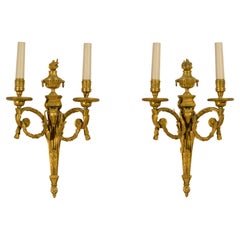 Louis XVI Wall Lights and Sconces