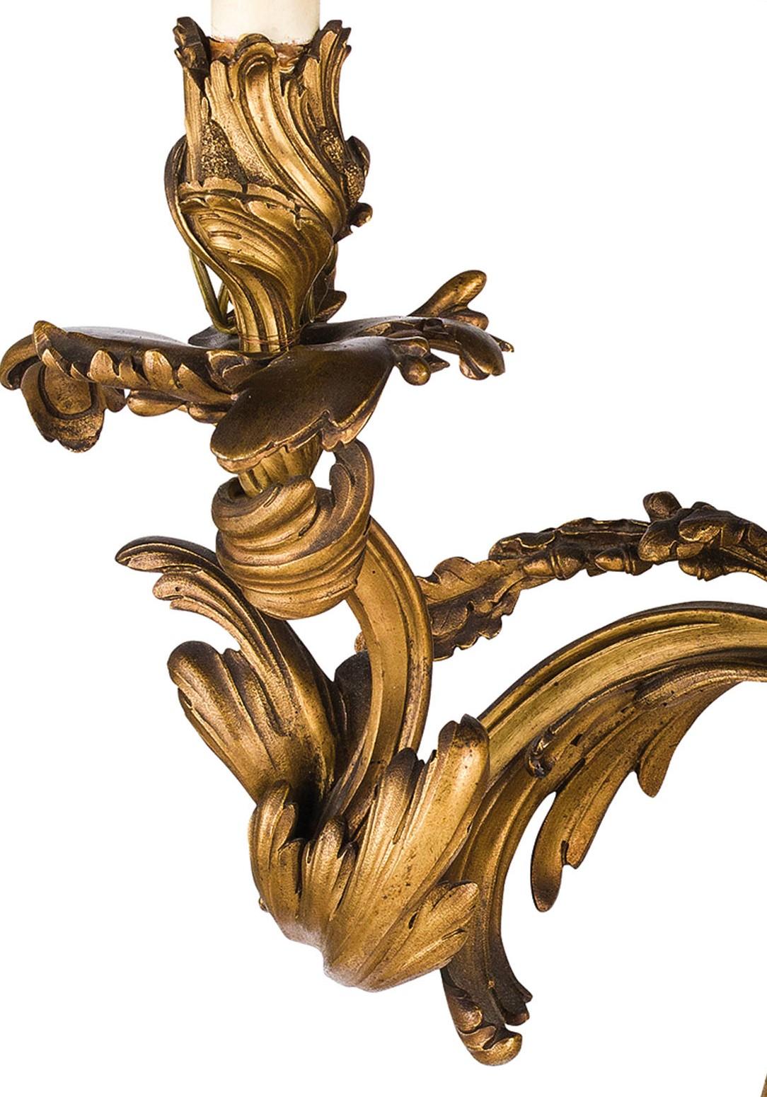 19th Century, Pair of French Louis XV Style Three-Light Gilt Bronze Applique 2