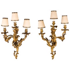 19th Century, Pair of French Louis XV Style Three-Light Gilt Bronze Applique