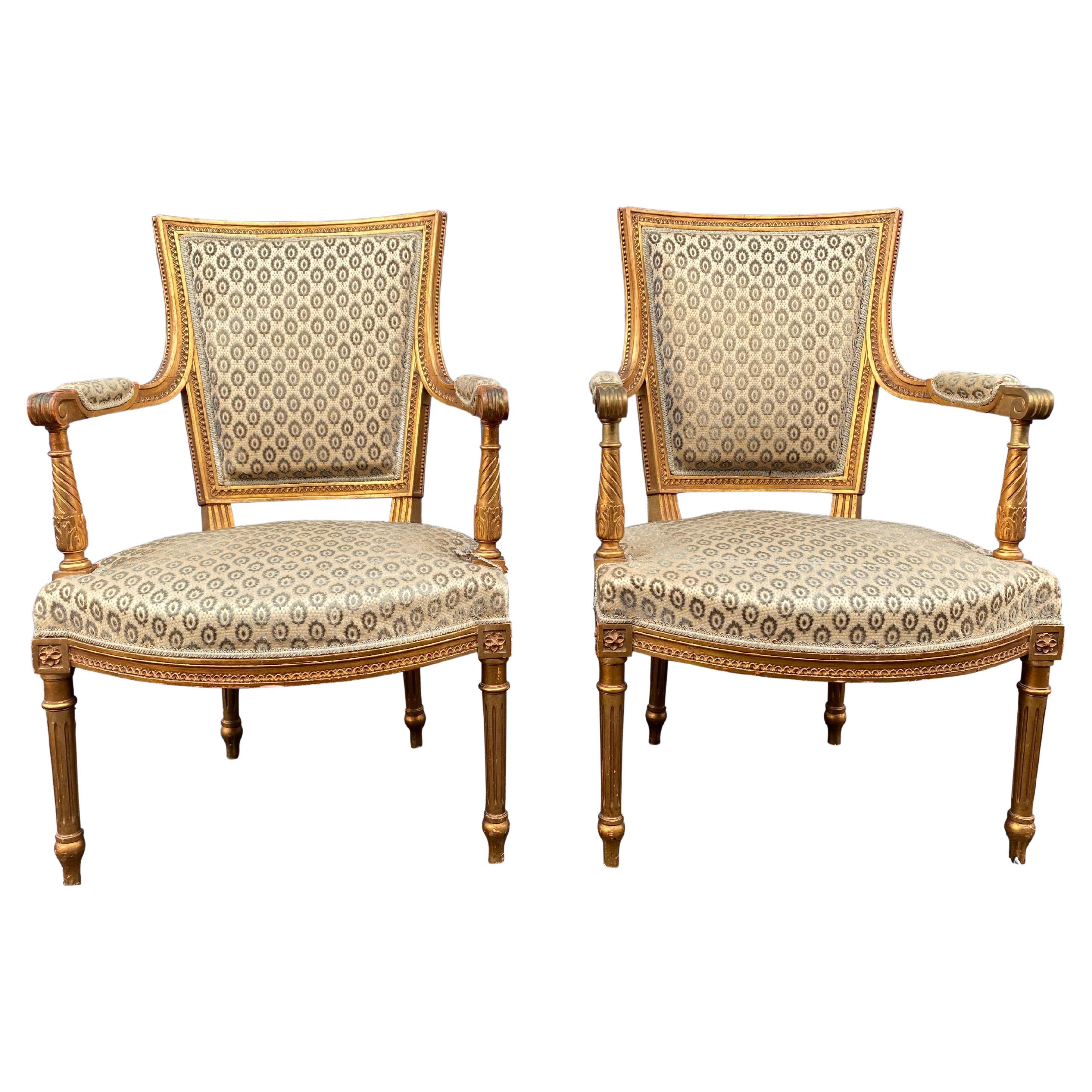 19th Century Pair of French Louis XVI Style Walnut Armchairs For Sale ...