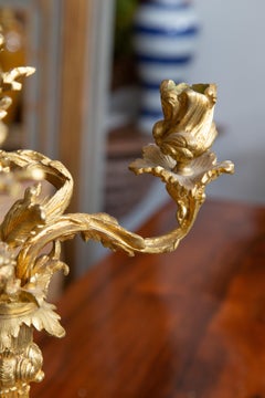 Paar französische Goldbronze-Kandelaber aus dem 19. Jahrhundert