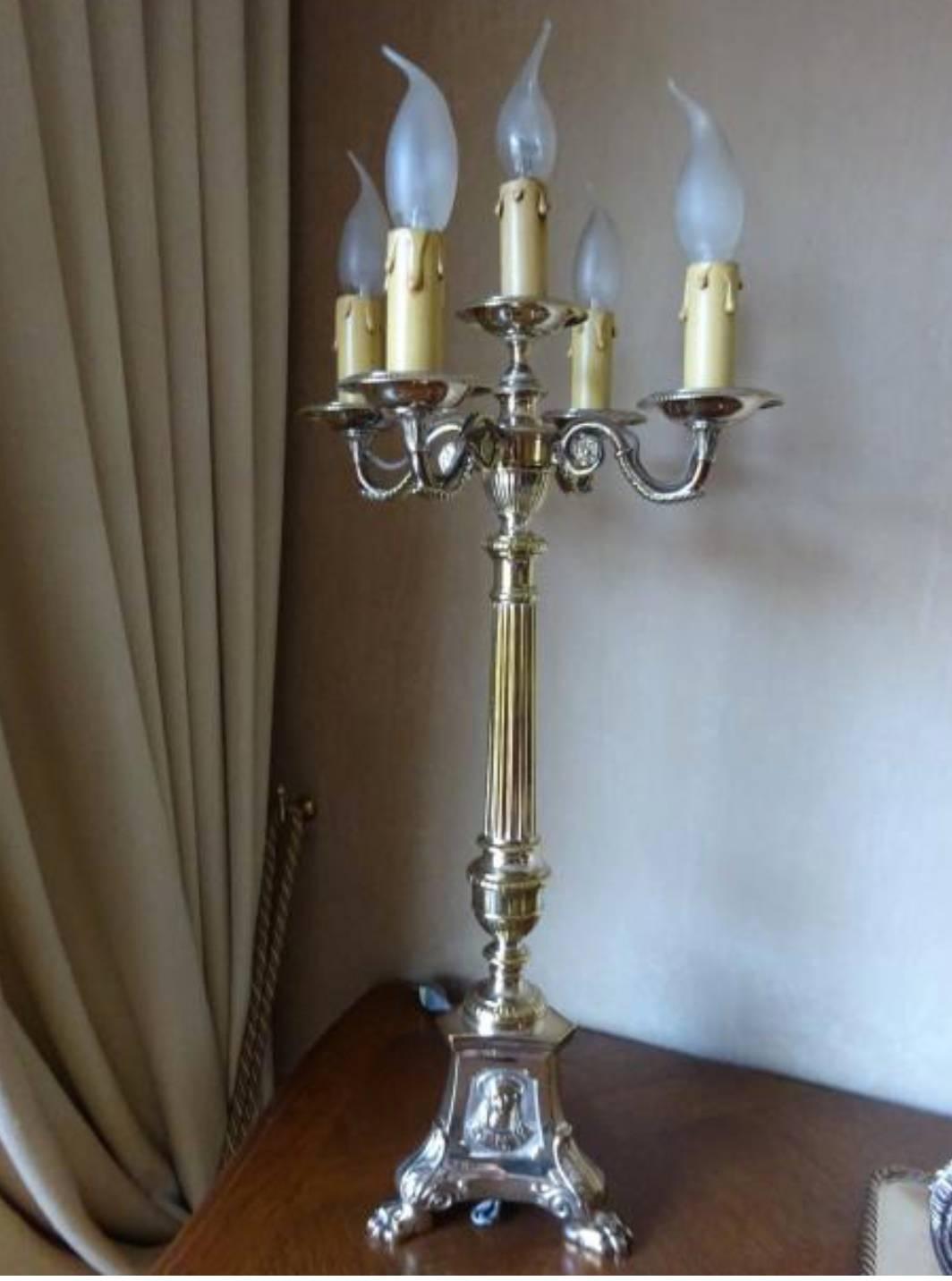 Metal 19th Century Pair of French Silver Plated Table Lamps For Sale
