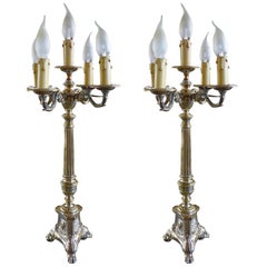 19th Century Pair of French Silver Plated Table Lamps