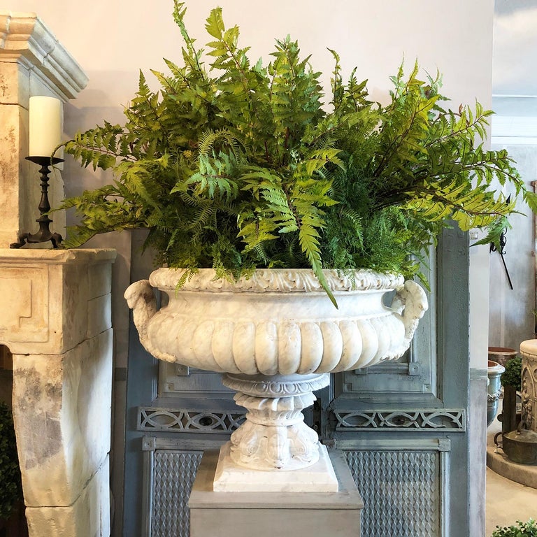 19th Century Pair of French Tazza Urns in Carrara Marble For Sale at ...