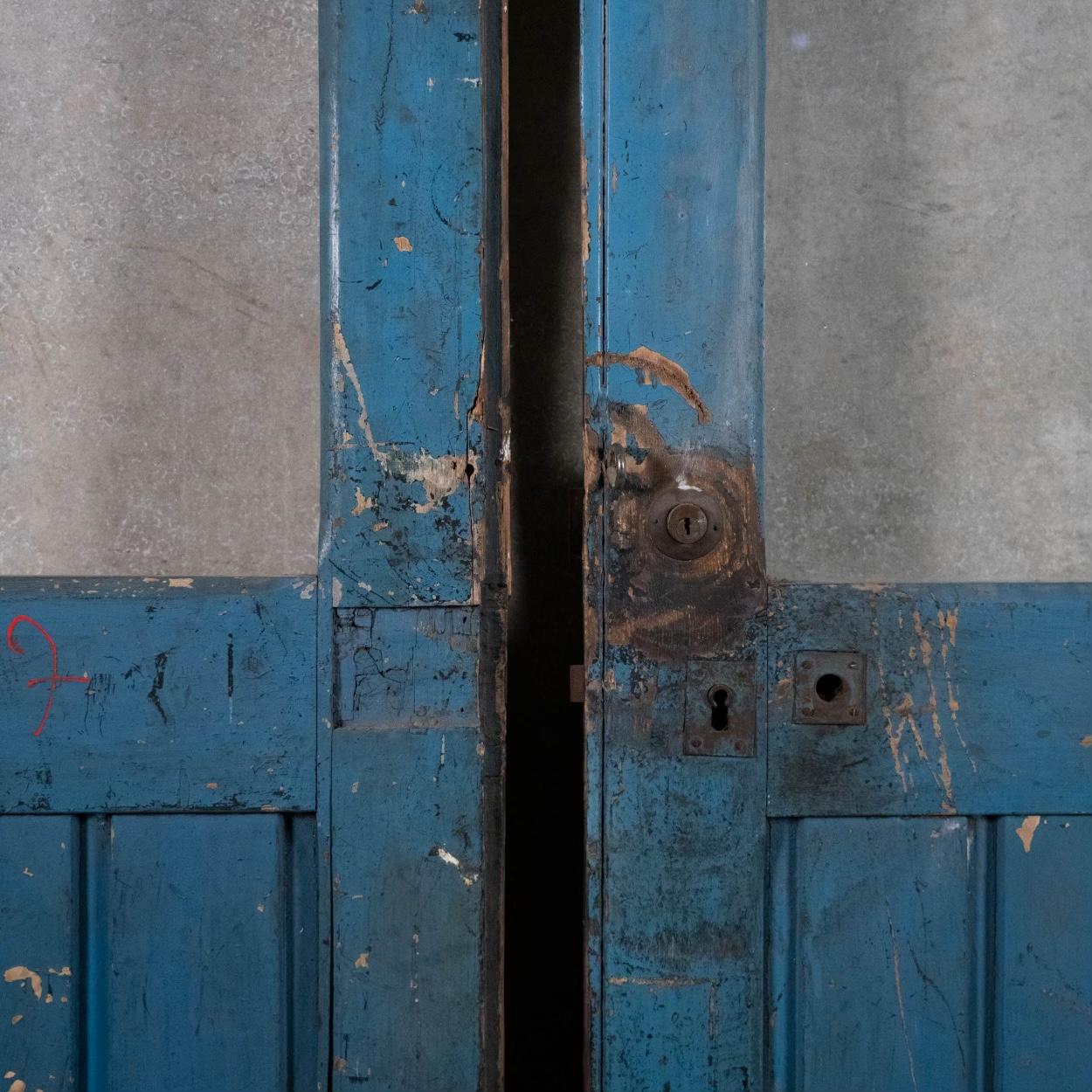 19th Century Pair of French Wooden Doors For Sale 2