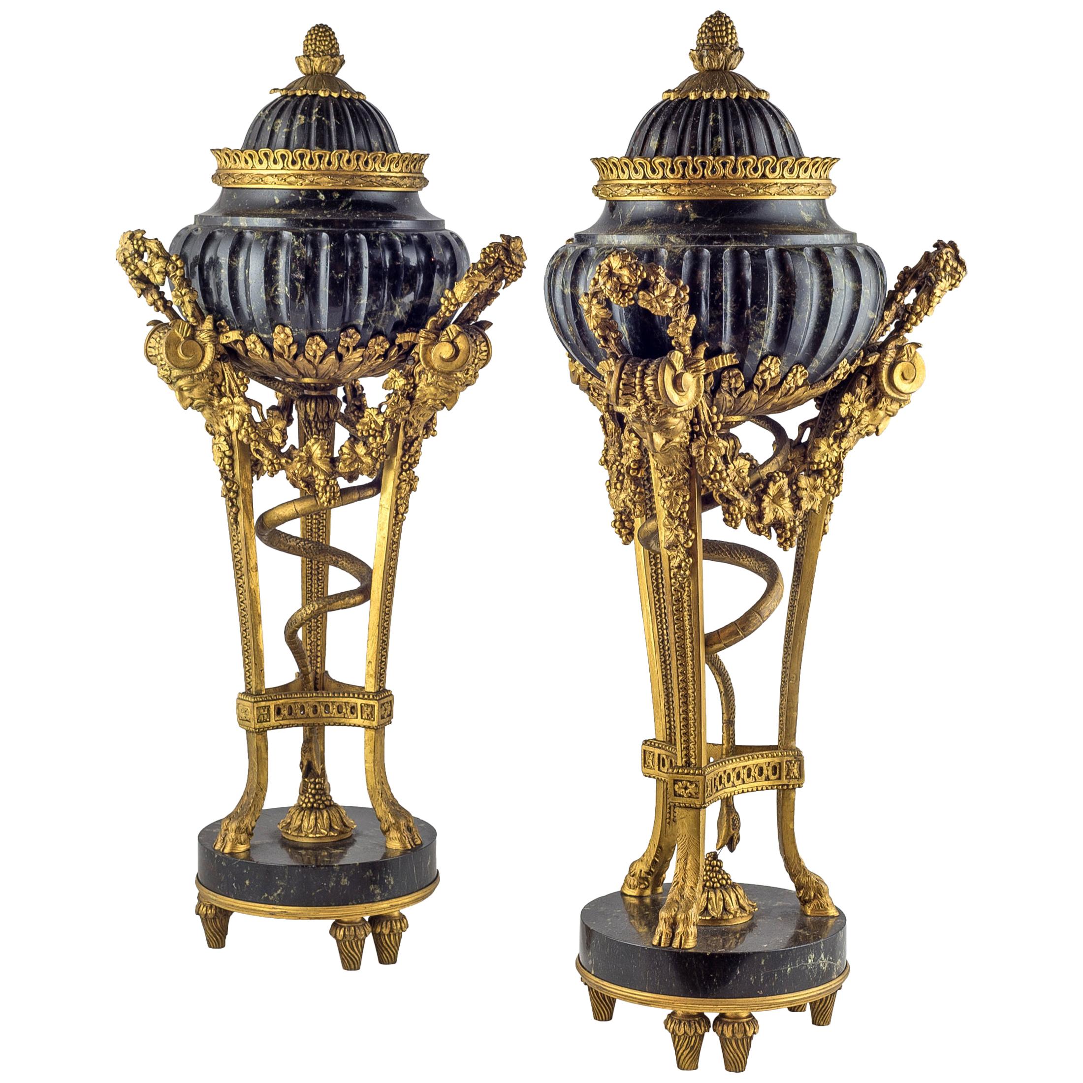 19th Century Pair of Gilt Bronze and Marble Urn and Cover