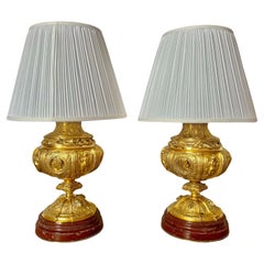 Paar Lampen aus vergoldeter Bronze des 19. Jahrhunderts mit roten Griotte-Marmorsockeln