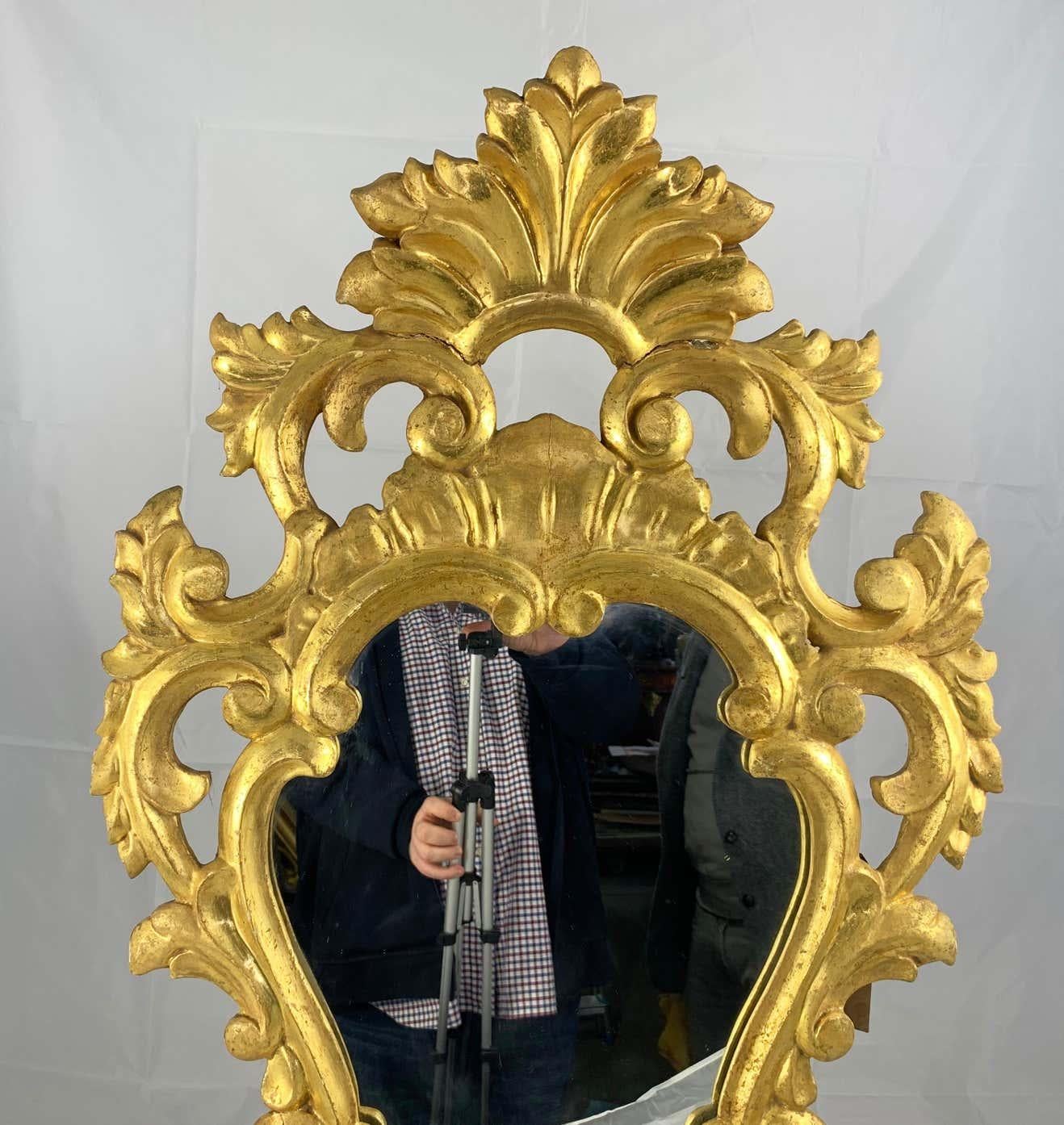 Hand-Carved 19th Century Pair of Gilt French Mirrors For Sale