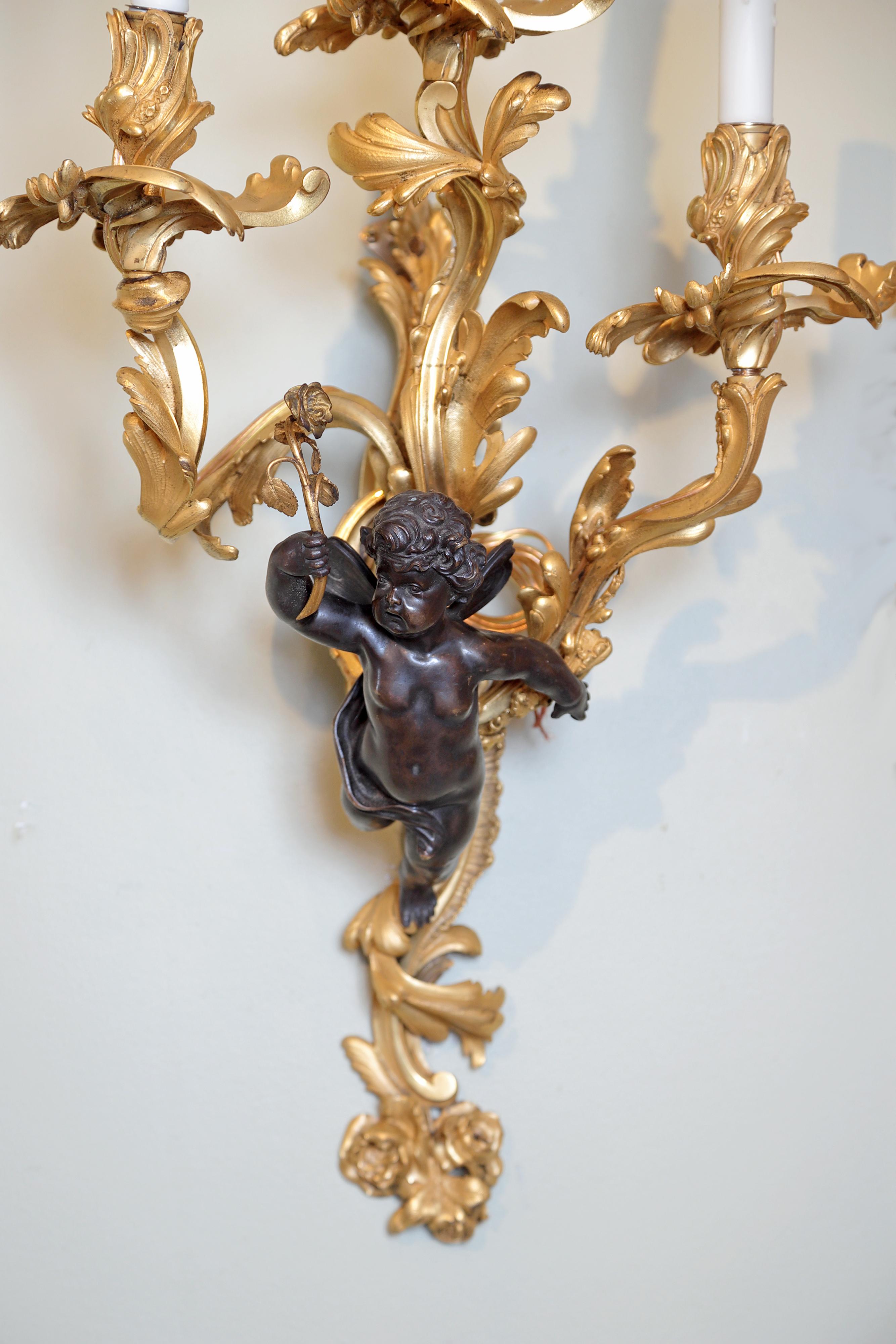 Pair of large and very fine French gilt bronze and patinated sconces. Fine Louis XV three branch sconces with a patinated bronze cherub perched in the branches. Custom electrified with resin sleeves.
