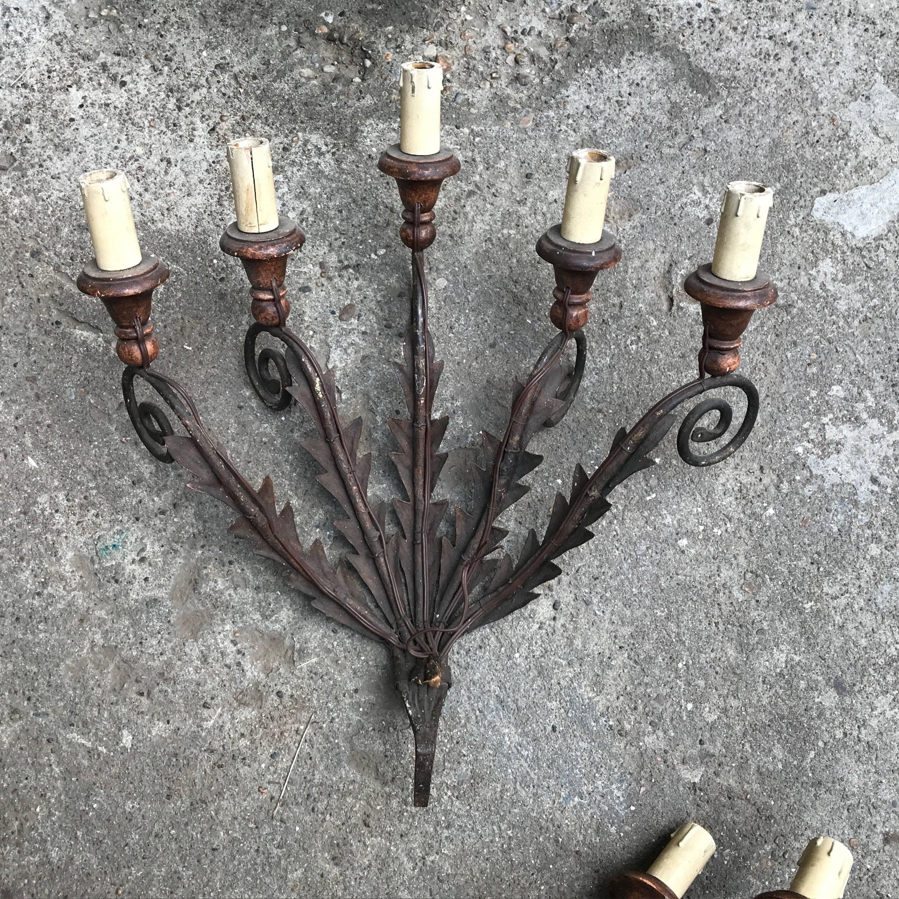 19th Century Pair of Large Italian Leafted Iron Five-Light Sconces From Tuscany For Sale 5