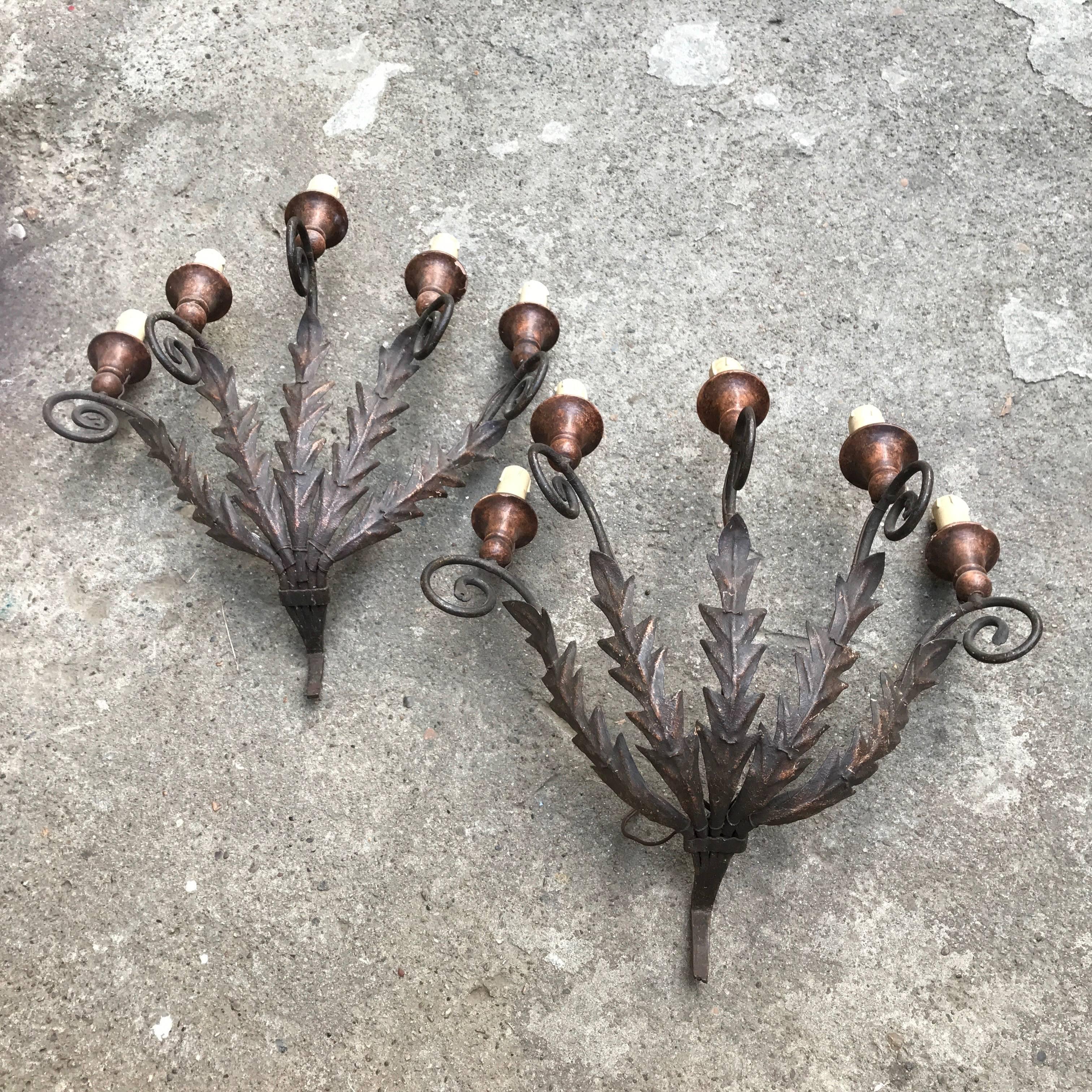 Wrought Iron 19th Century Pair of Large Italian Leafted Iron Five-Light Sconces From Tuscany For Sale