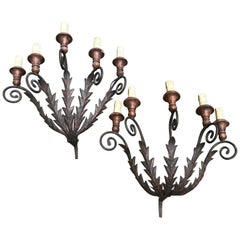 Antique 19th Century Pair of Large Italian Leafted Iron Five-Light Sconces From Tuscany