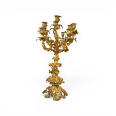 Coppia di grandi candelabri a 5 bracci in bronzo dorato (ormolu) in stile Luigi XV del XIX secolo