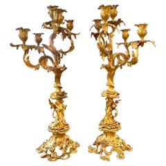 Coppia di grandi candelabri a 5 bracci in bronzo dorato (ormolu) in stile Luigi XV del XIX secolo