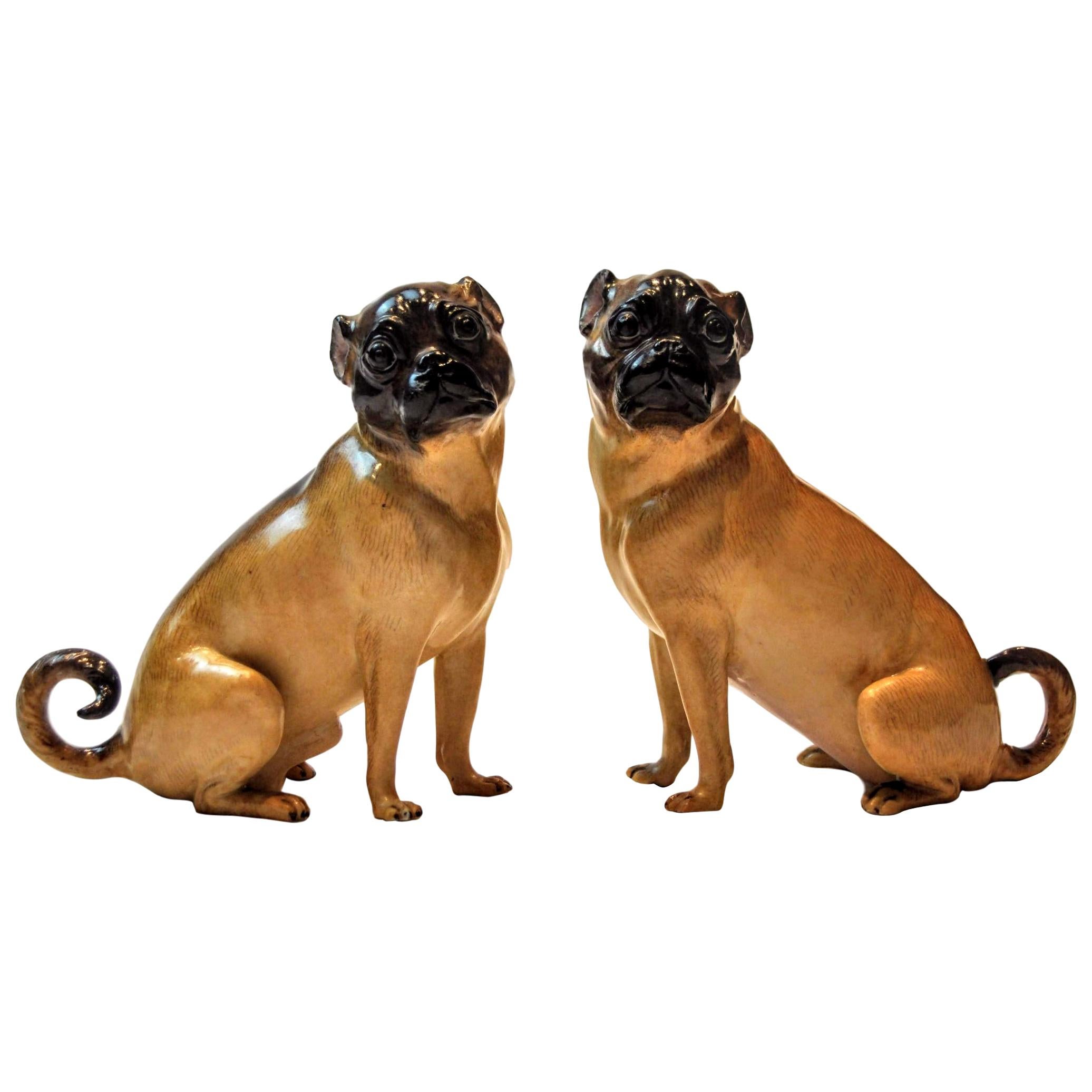 19th Century Pair of Meissen Porcelain Figures of Pug Dogs, Germany