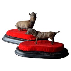 19th Century Pair of Miniature Taxidermy Dogs