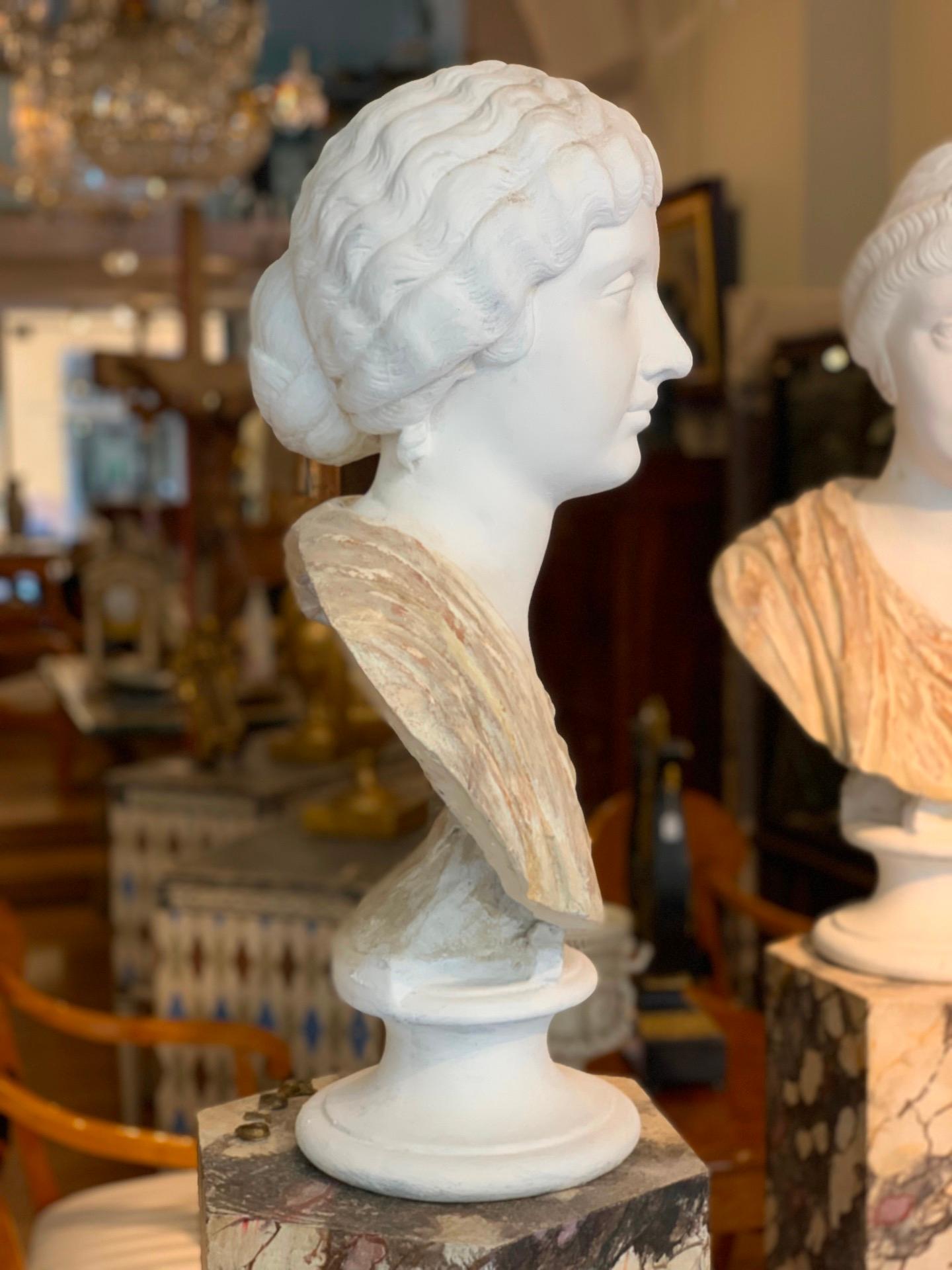 19th CENTURY PAIR OF NEOCLASSICAL BUSTS IN TERRACOTTA AND PLASTER In Good Condition In Firenze, FI