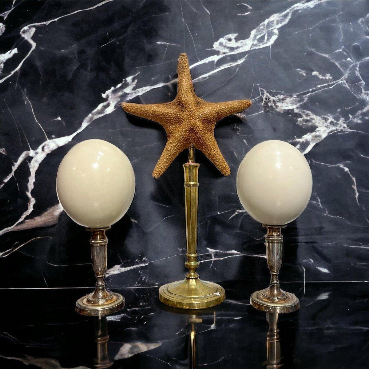 We present you this pair of highly decorative curiosity items featuring ostrich eggs measuring 27 cm in height and 12 cm in diameter each.

Hailing from the Napoleon III period in the 19th century, this wonderful pair would fit just as well in a