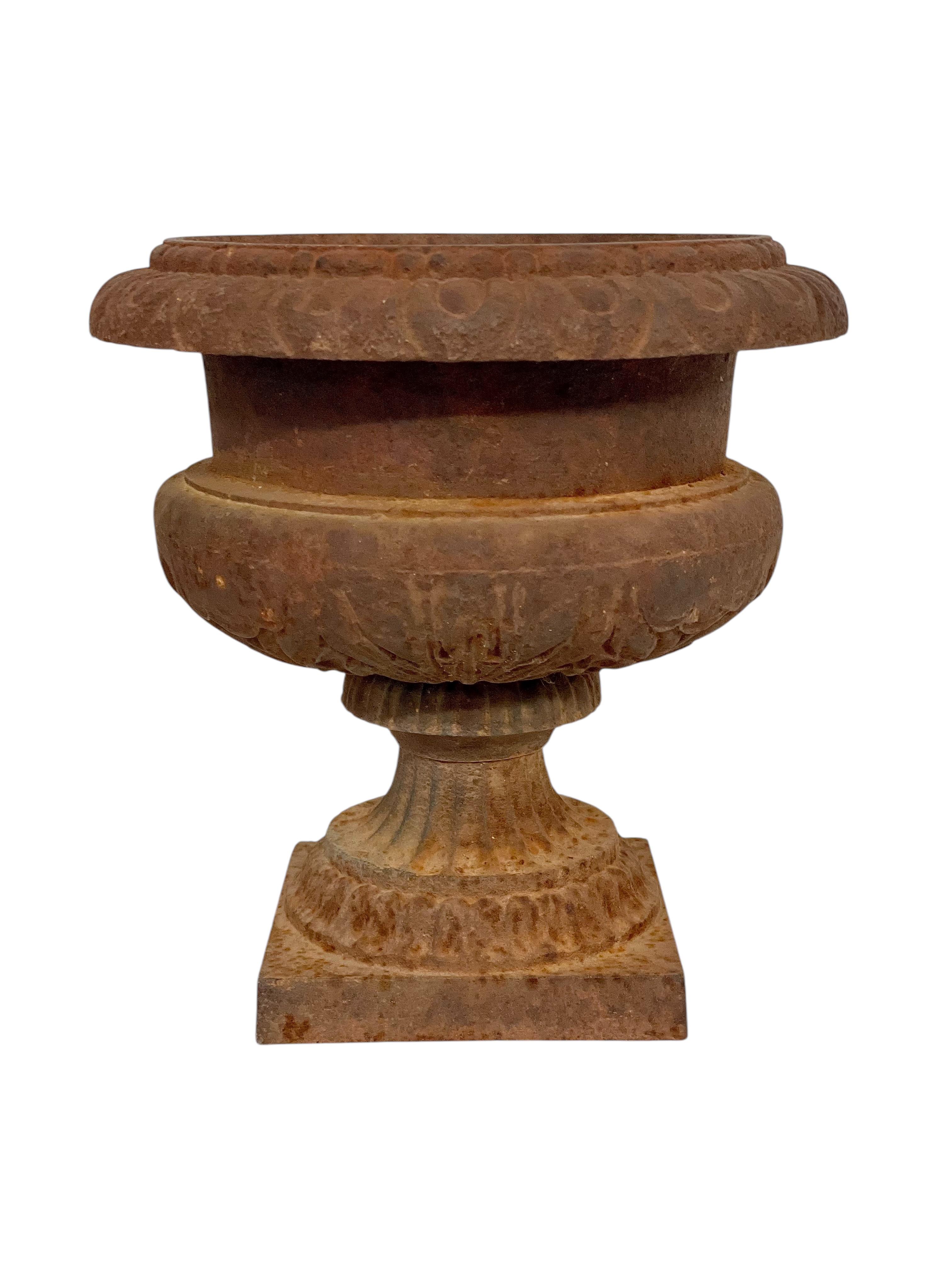 Paar Petite Louis XVI Gartenurnen aus Gusseisen aus dem 19. im Angebot 2