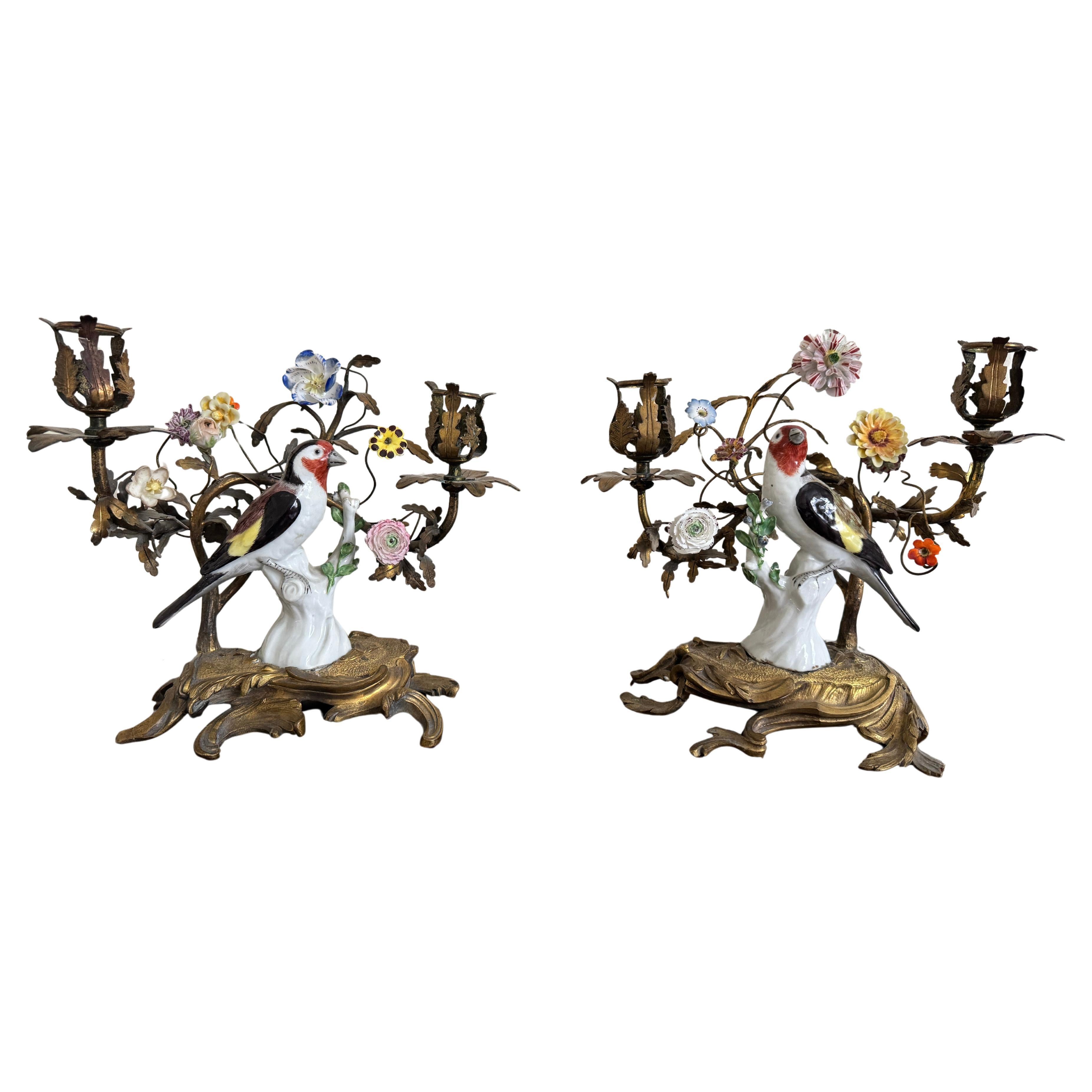 Paire de candélabres en porcelaine avec oiseaux en bronze doré du 19e siècle