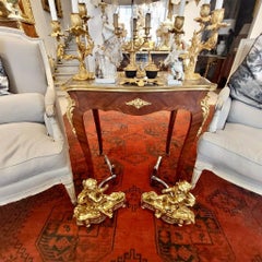 Paire de chenets Putti du 19ème siècle en bronze doré