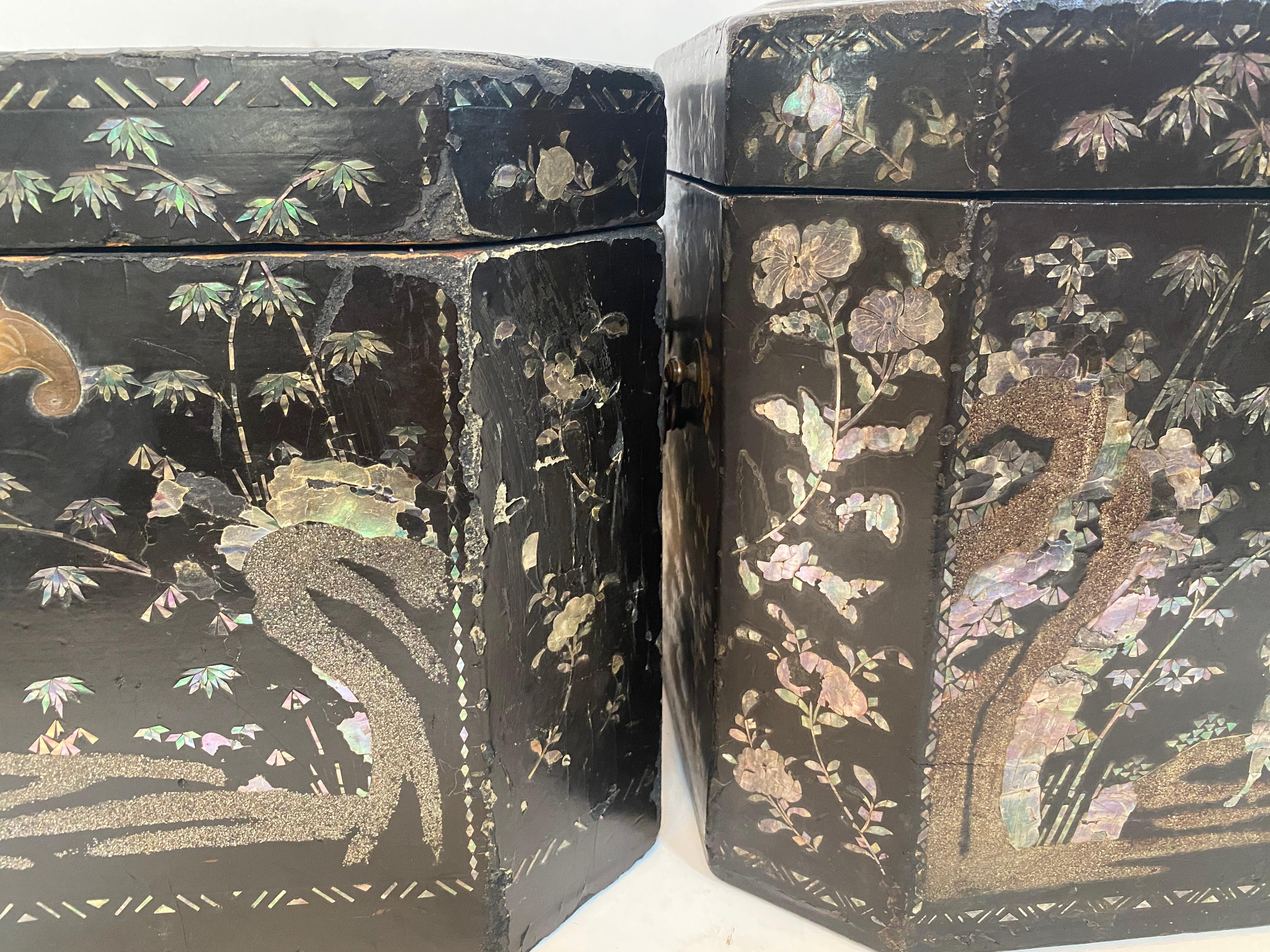 19th Century Two Shell Inlaid Black Lacquer Big Chinese Storage Boxes For Sale 9