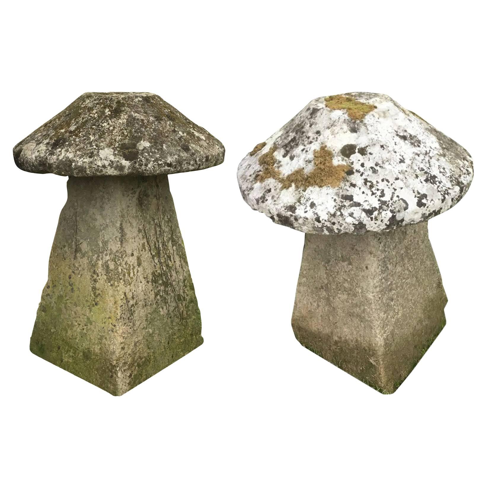 19th Century Pair of Staddle Stones, England