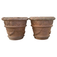 Paire de jardinières en terre cuite du 19e siècle
