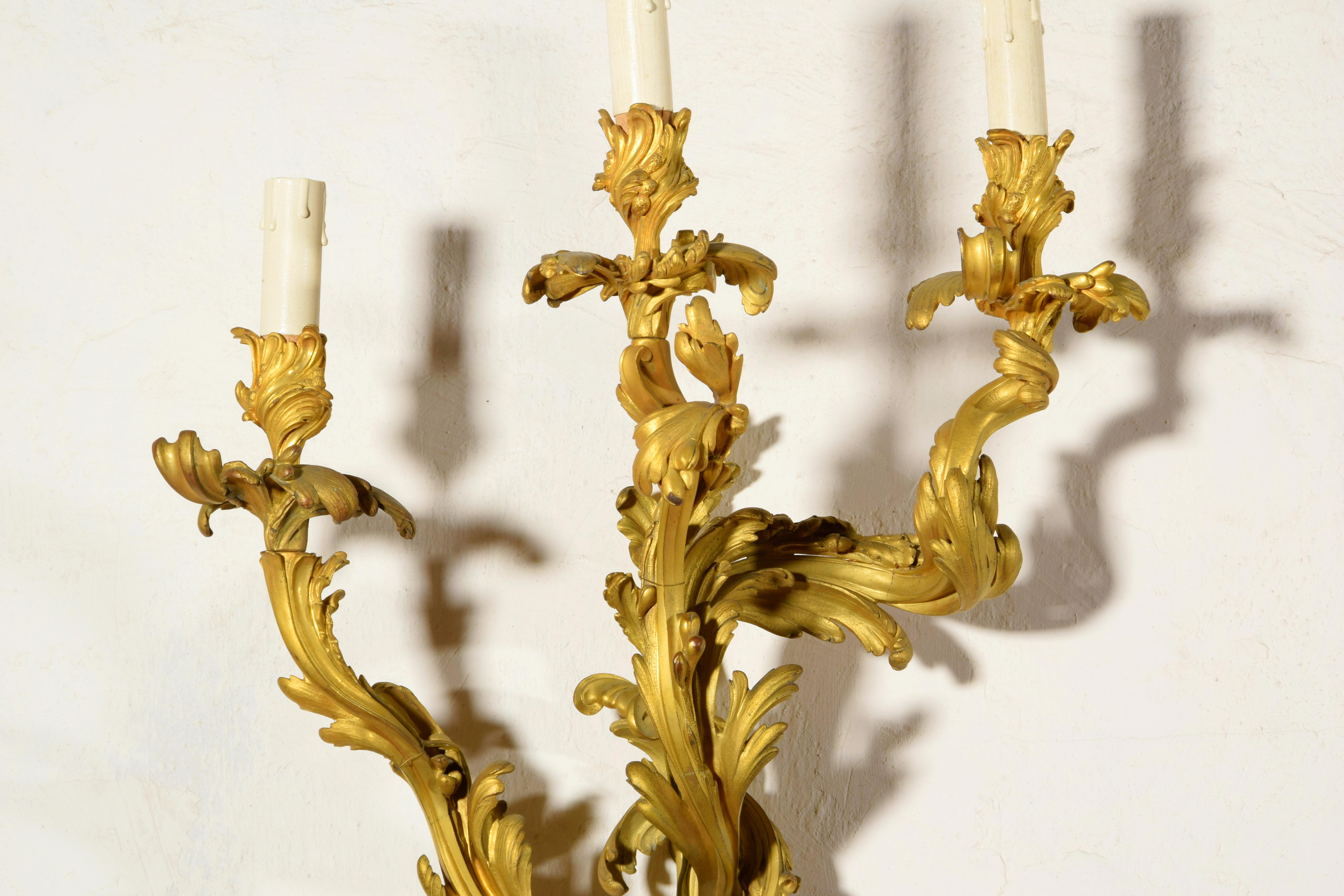 19th Century Pair of Three-Light Gilt Bronze French Louis XV Style Appliques For Sale 12